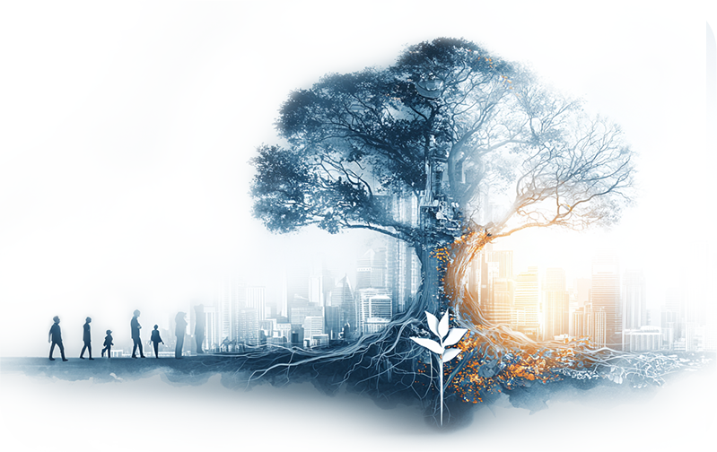 UMACOLL — визуальный образ 2